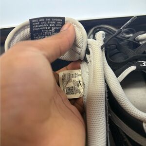 Dunk Low Premium 'Animal Pack - Zebra'